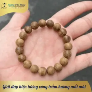 Giải đáp hiện tượng vòng trầm hương mất mùi