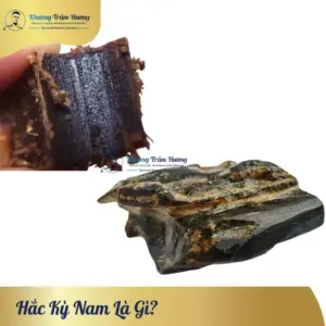 Hắc kỳ nam