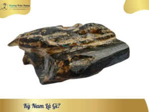Kỳ Nam – Báu Vật Của Thiên Nhiên