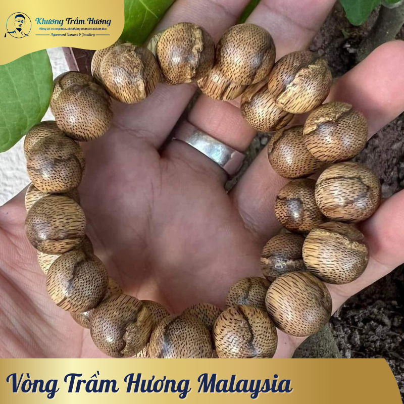 Tinh Dầu Trầm Hương Malaysia - Hương Thơm Dịu Nhẹ, Bền Lâu