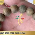 Vòng Trầm Hương Bị Mốc