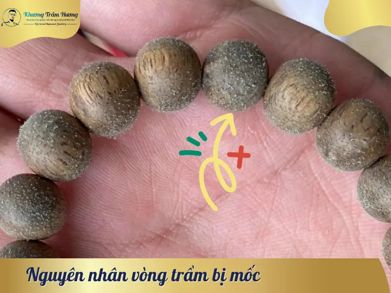 Vòng Trầm Hương Bị Mốc